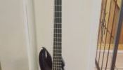 Cort Curbow 5 String