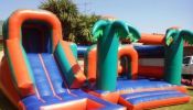 Jumping Castles and water slides 4 Hire