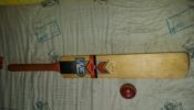 GM Hero 101 cricket bat and ball
