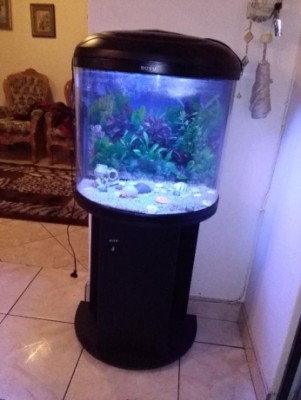 BOYU FISH Tank - Aquarium