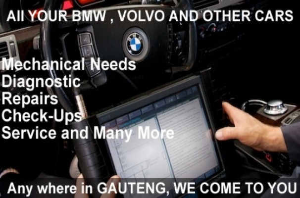 mobile mechanic and diagnostics to all makes of vehicles